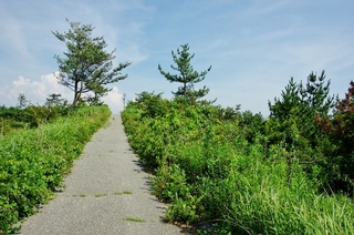 IMGP1330 (640x424).jpg