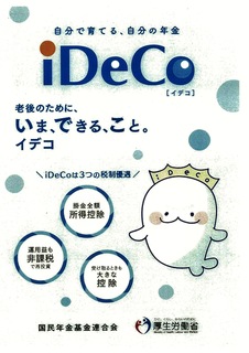 iDeCoyb.jpg